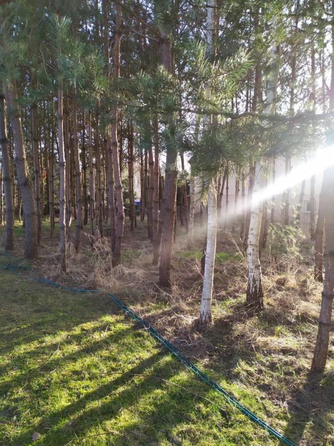 Wiejska Chata U Emili Koszele  Exterior foto